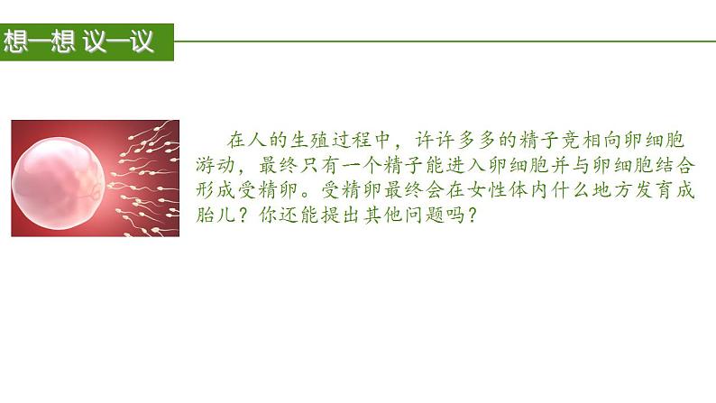 2023-2024学年七年级生物（人教版）下册同步备课系列 4.1.2 人的生殖（教学课件）03