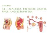 2023-2024学年七年级生物（人教版）下册同步备课系列 4.1.2 人的生殖（教学课件）