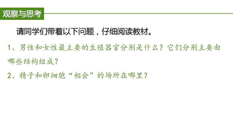 2023-2024学年七年级生物（人教版）下册同步备课系列 4.1.2 人的生殖（教学课件）05