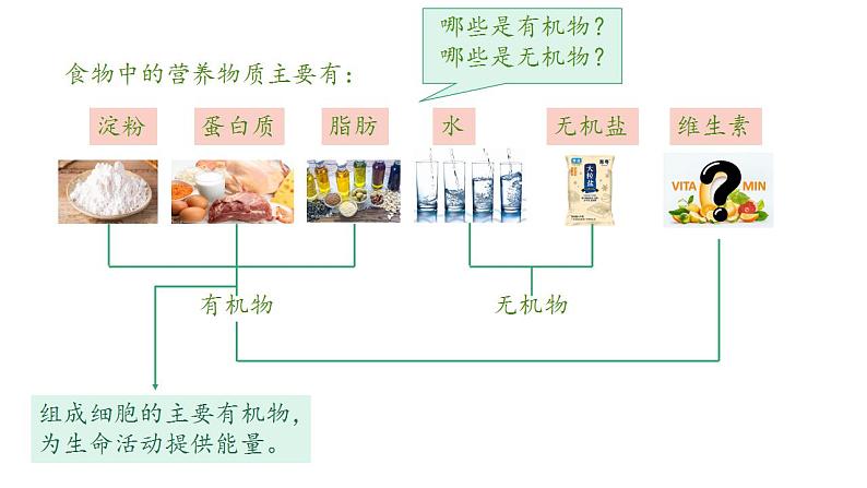 2023-2024学年七年级生物（人教版）下册同步备课系列 4.2.1 食物中的营养物质（教学课件）03