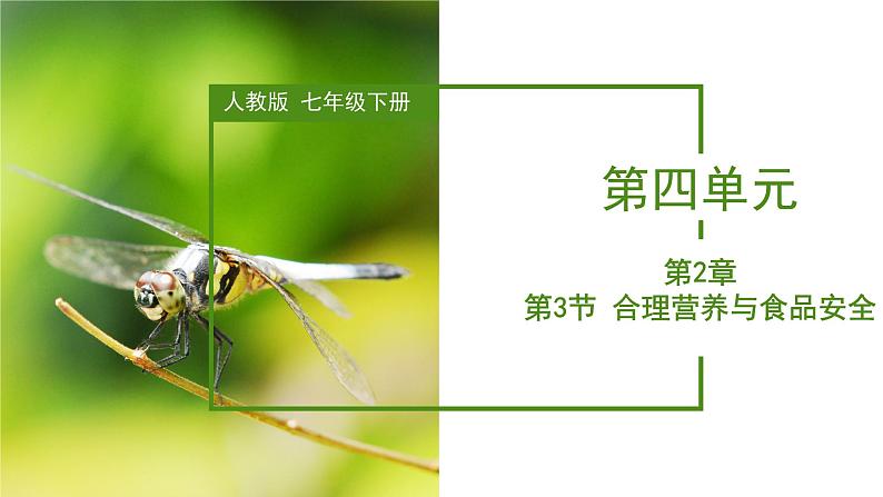 2023-2024学年七年级生物（人教版）下册同步备课系列 4.2.3 合理营养与食品安全（教学课件）01