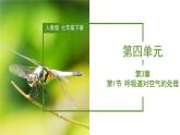 2023-2024学年七年级生物（人教版）下册同步备课系列 4.3.1 呼吸道对空气的处理（教学课件）