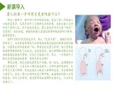 2023-2024学年七年级生物（人教版）下册同步备课系列 4.3.1 呼吸道对空气的处理（教学课件）