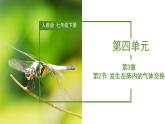 2023-2024学年七年级生物（人教版）下册同步备课系列 4.3.2 发生在肺内的气体交换（教学课件）