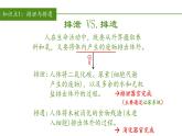2023-2024学年七年级生物（人教版）下册同步备课系列 4.5 人体内废物的排出（教学课件）