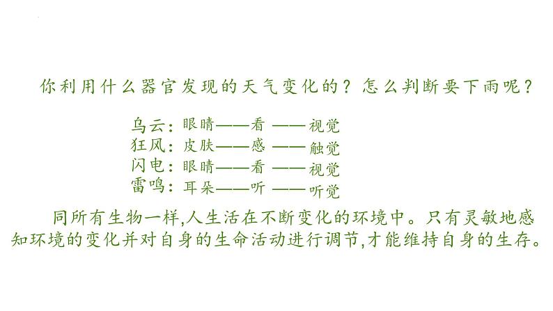 2023-2024学年七年级生物（人教版）下册同步备课系列 4.6.1 人体对外界环境的感知（教学课件）03