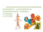 2023-2024学年七年级生物（人教版）下册同步备课系列 4.6.1 人体对外界环境的感知（教学课件）
