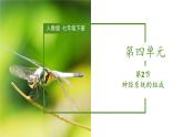 2023-2024学年七年级生物（人教版）下册同步备课系列 4.6.2 神经系统的组成（教学课件）