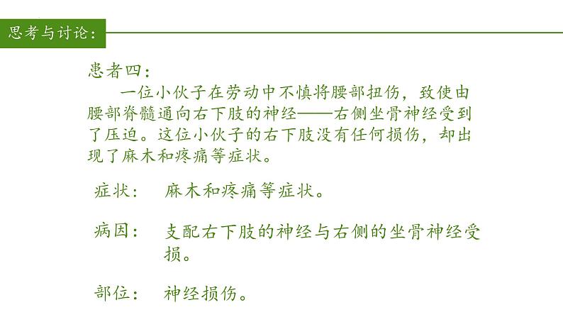 2023-2024学年七年级生物（人教版）下册同步备课系列 4.6.2 神经系统的组成（教学课件）06