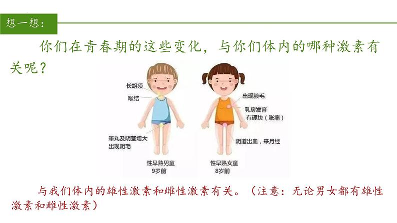 2023-2024学年七年级生物（人教版）下册同步备课系列 4.6.4 激素调节（教学课件）04