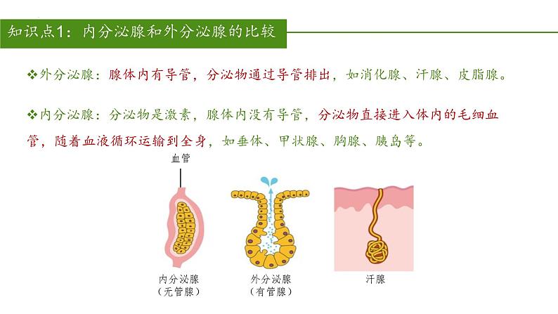 2023-2024学年七年级生物（人教版）下册同步备课系列 4.6.4 激素调节（教学课件）06