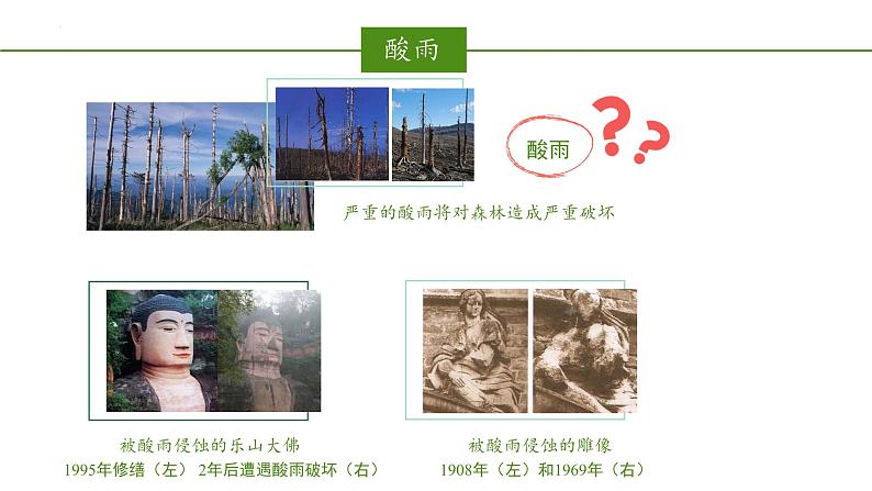 2023-2024学年七年级生物（人教版）下册同步备课系列 4.7.2 探究环境污染对生物的影响（教学课件）第5页