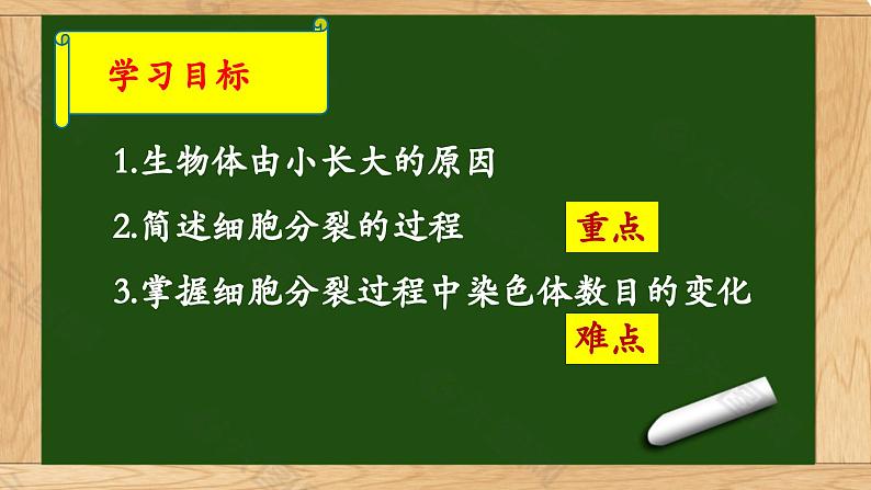 《细胞通过分裂产生新细胞》课件第2页