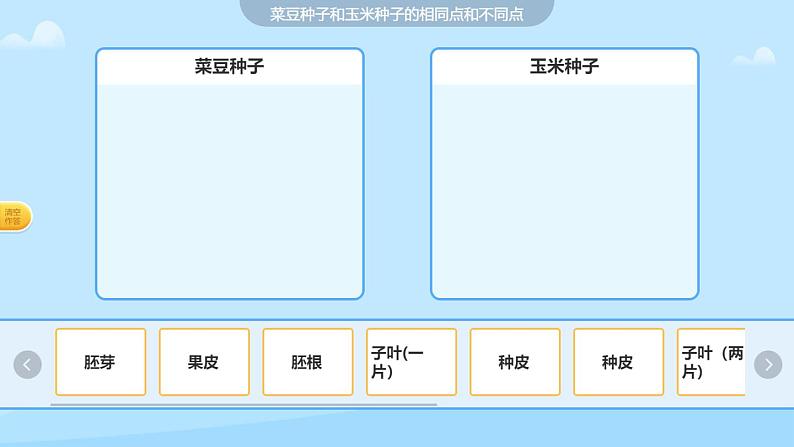 《种子的萌发》课件07