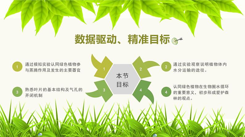 《绿色植物与生物圈的水循环》课件02