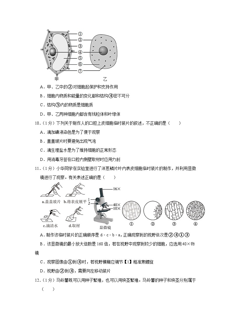 河南省漯河市临颍县2023-2024学年七年级上学期期中生物试卷03