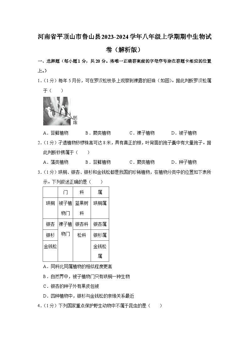 河南省平顶山市鲁山县2023-2024学年八年级上学期期中生物试卷第1页