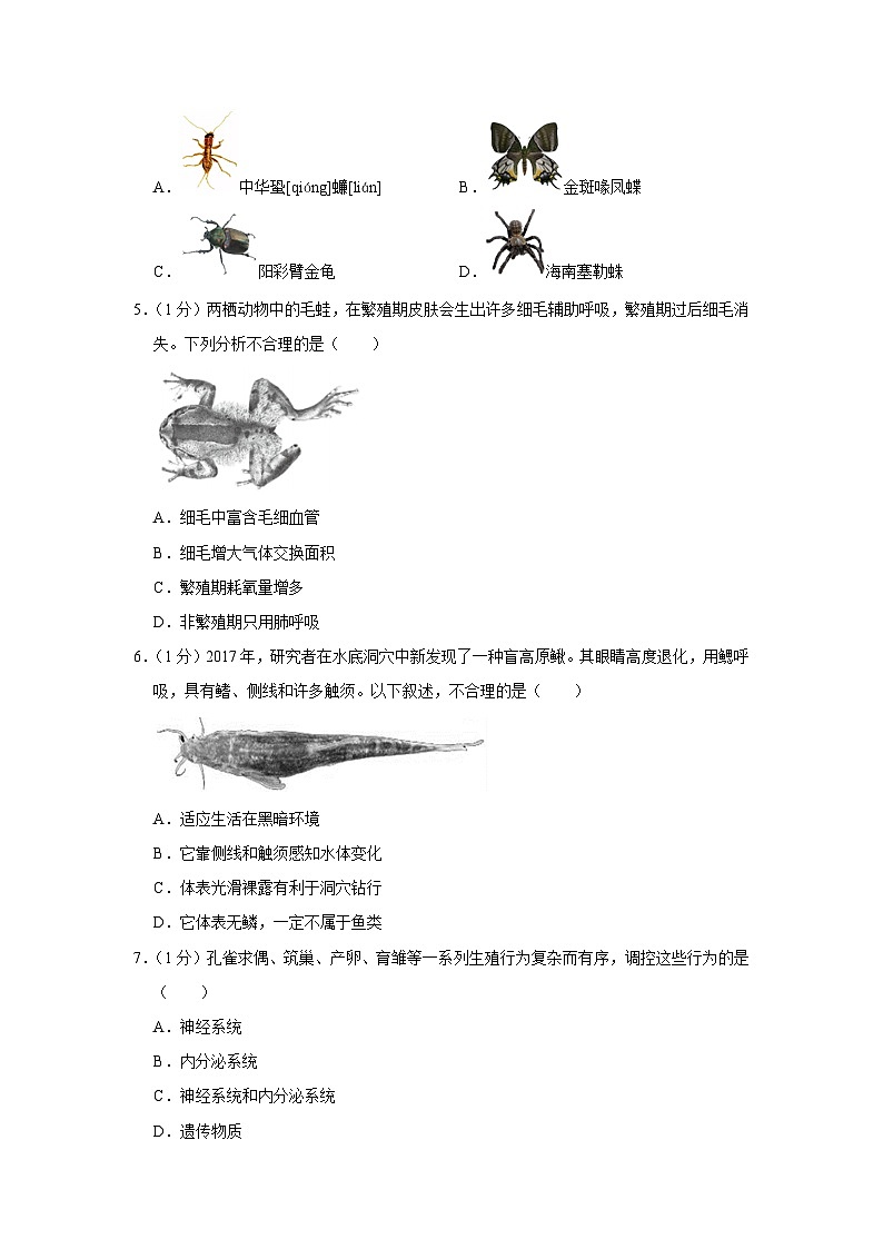 河南省平顶山市鲁山县2023-2024学年八年级上学期期中生物试卷第2页