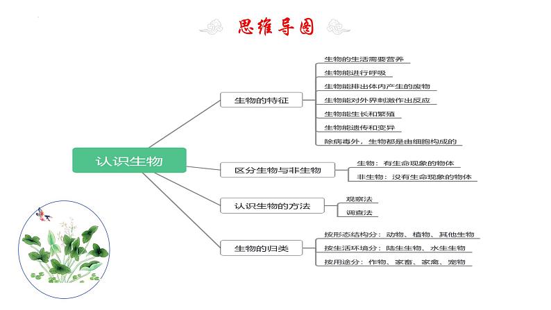 专题1认识生物（知识清单+考点串讲+考题猜想）-2023-2024学年七年级生物上学期期末考点大串讲04