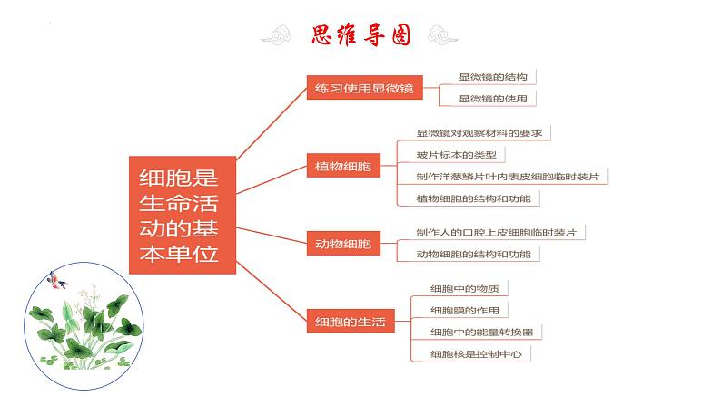 专题03 细胞是生命活动的基本单位（考点串讲PPT）- 2023-2024学年七年级生物上学期期末考点大串讲（人教版）第4页