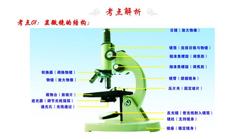 专题03 细胞是生命活动的基本单位（考点串讲PPT）- 2023-2024学年七年级生物上学期期末考点大串讲（人教版）第5页