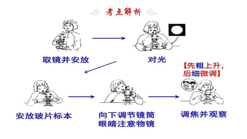 专题03 细胞是生命活动的基本单位（考点串讲PPT）- 2023-2024学年七年级生物上学期期末考点大串讲（人教版）第8页