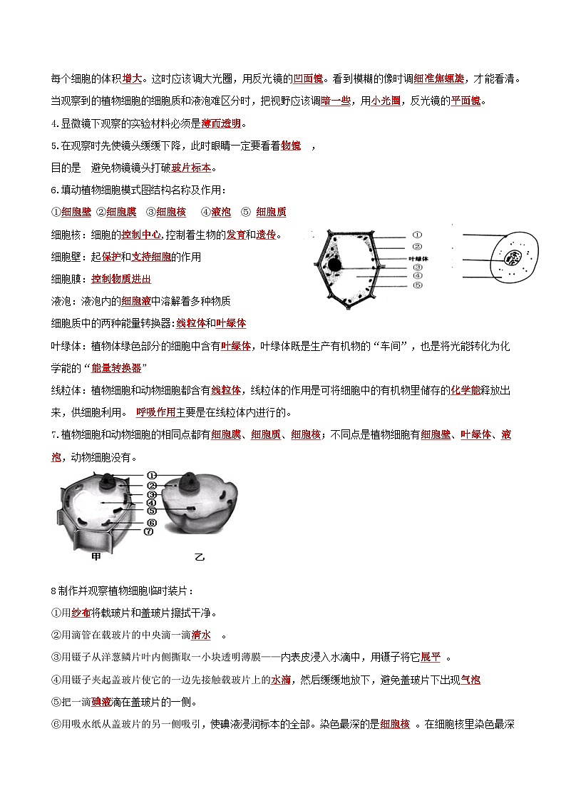 清单03 细胞是生命活动的基本单位（知识清单）- 2023-2024学年七年级生物上学期期末考点大串讲（人教版）第2页