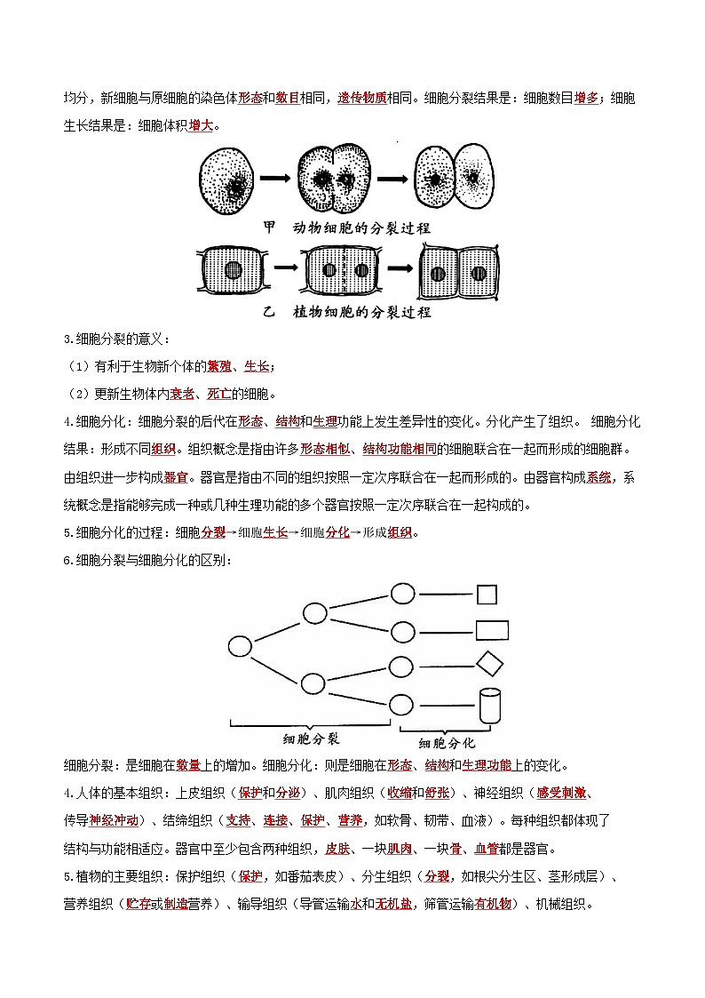 专题04 细胞怎样构成生物体（知识清单）- 2023-2024学年七年级生物上学期期末考点大串讲（人教版）第2页