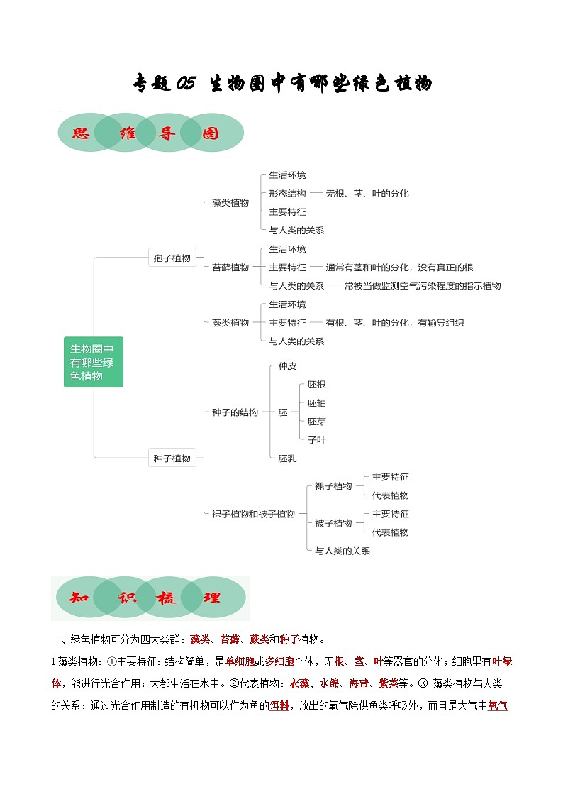 专题05 生物圈中有哪些绿色植物（知识清单+考点串讲+考题猜想）- 2023-2024学年七年级生物上学期期末考点大串讲（人教版）01
