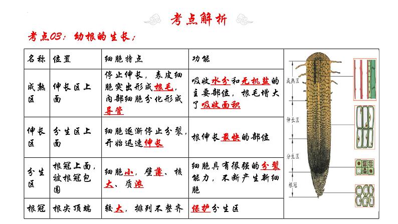 专题06 被子植物的一生（知识清单+考点串讲+考题猜想）- 2023-2024学年七年级生物上学期期末考点大串讲（人教版）08