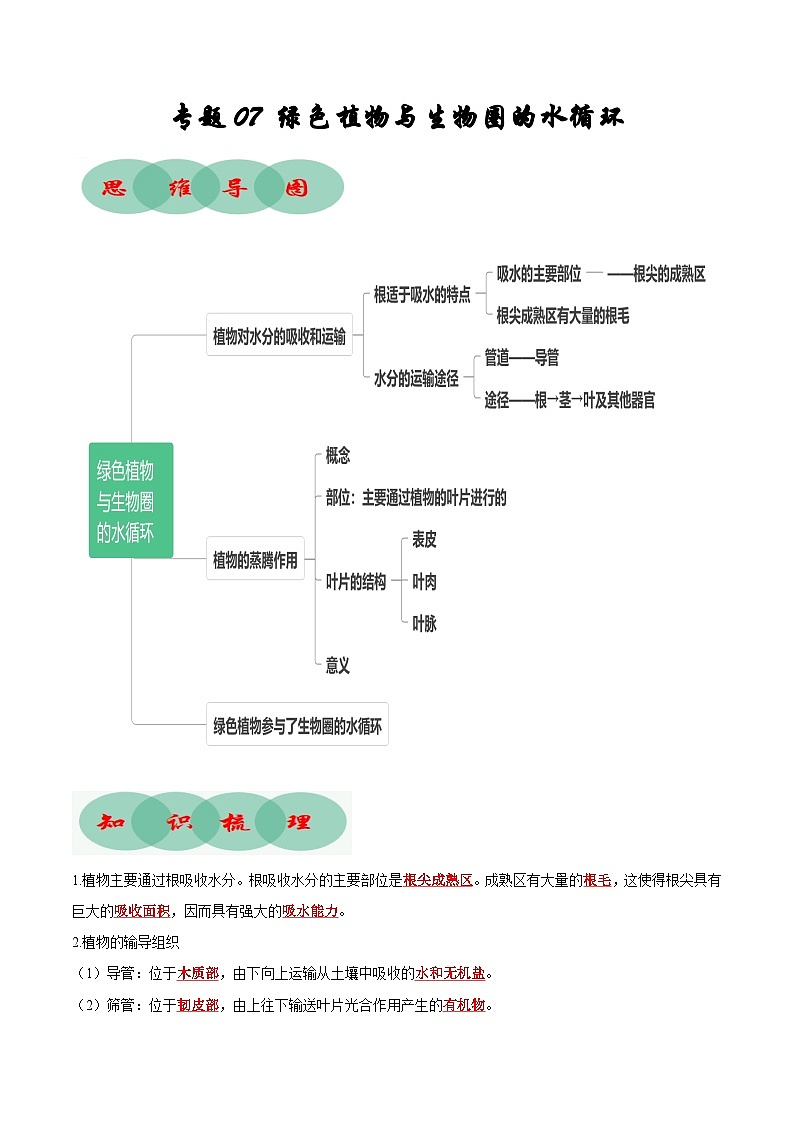 专题07 绿色植物与生物圈的水循环（知识清单+考点串讲+考题猜想）- 2023-2024学年七年级生物上学期期末考点大串讲（人教版）01