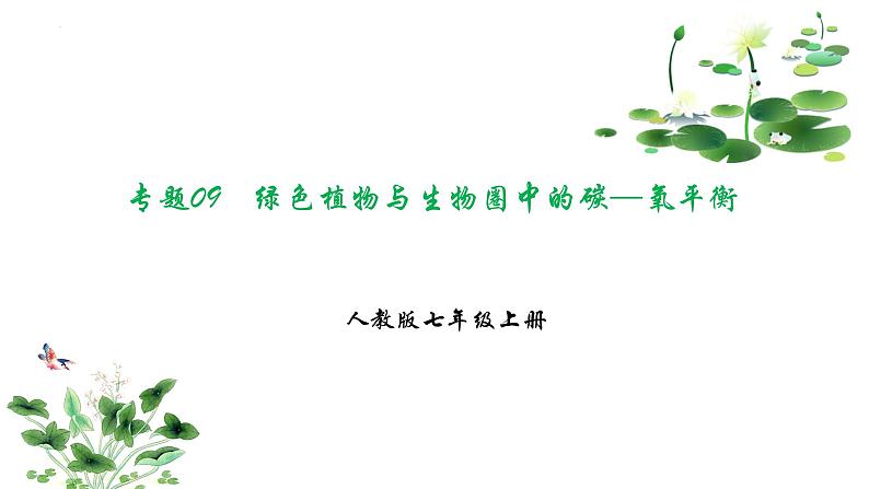 专题09 绿色植物与生物圈中的碳-氧平衡（知识清单+考点串讲+考题猜想）- 2023-2024学年七年级生物上学期期末考点大串讲（人教版）01