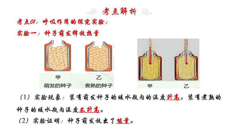 专题09 绿色植物与生物圈中的碳-氧平衡（知识清单+考点串讲+考题猜想）- 2023-2024学年七年级生物上学期期末考点大串讲（人教版）05