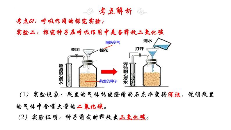 专题09 绿色植物与生物圈中的碳-氧平衡（知识清单+考点串讲+考题猜想）- 2023-2024学年七年级生物上学期期末考点大串讲（人教版）06