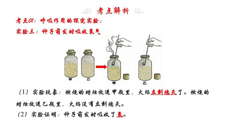 专题09 绿色植物与生物圈中的碳-氧平衡（知识清单+考点串讲+考题猜想）- 2023-2024学年七年级生物上学期期末考点大串讲（人教版）07