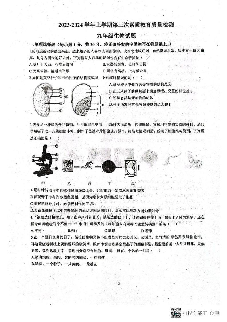 山东省菏泽市东明县第二初级中学2023-2024学年九年级上学期12月月考生物试题01