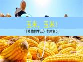 《植物的生活》专题复习课件