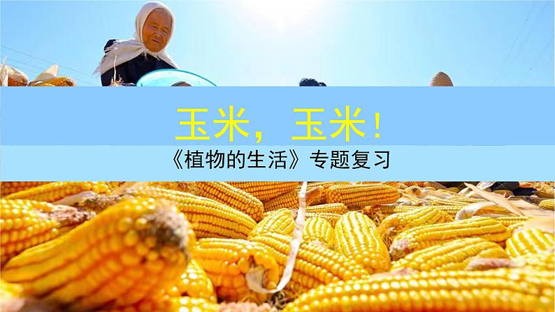 《植物的生活》专题复习课件第1页