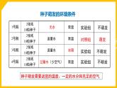 《植物的生活》专题复习课件