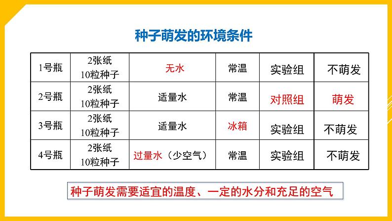 《植物的生活》专题复习课件第5页