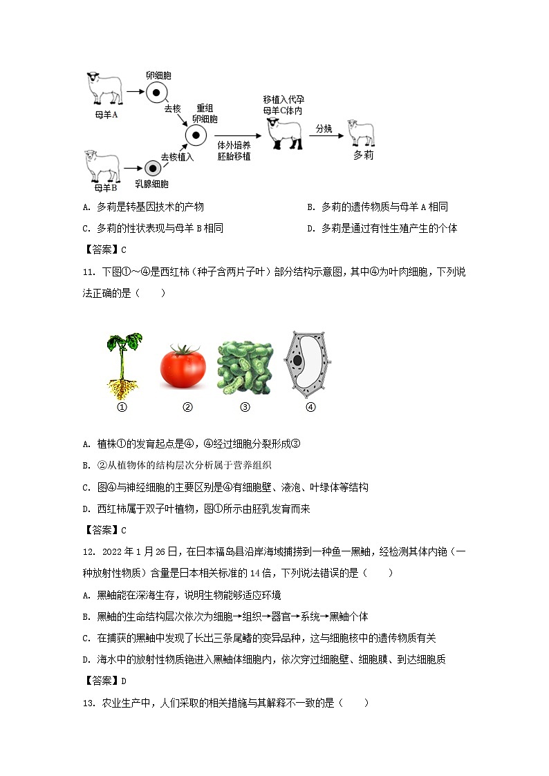 2022-2023学年天津市河东区七年级上册期末生物试卷及答案03