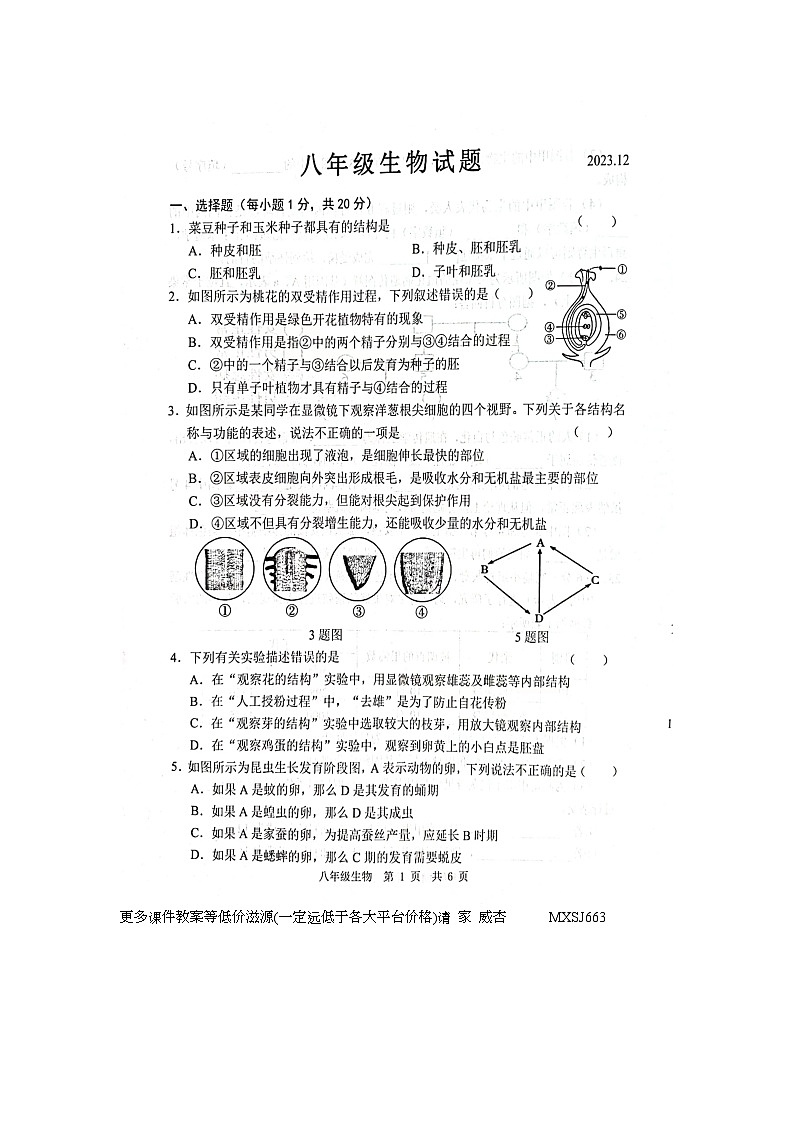 山东省菏泽市鲁西新区2023-2024学年八年级上学期12月月考生物试题01