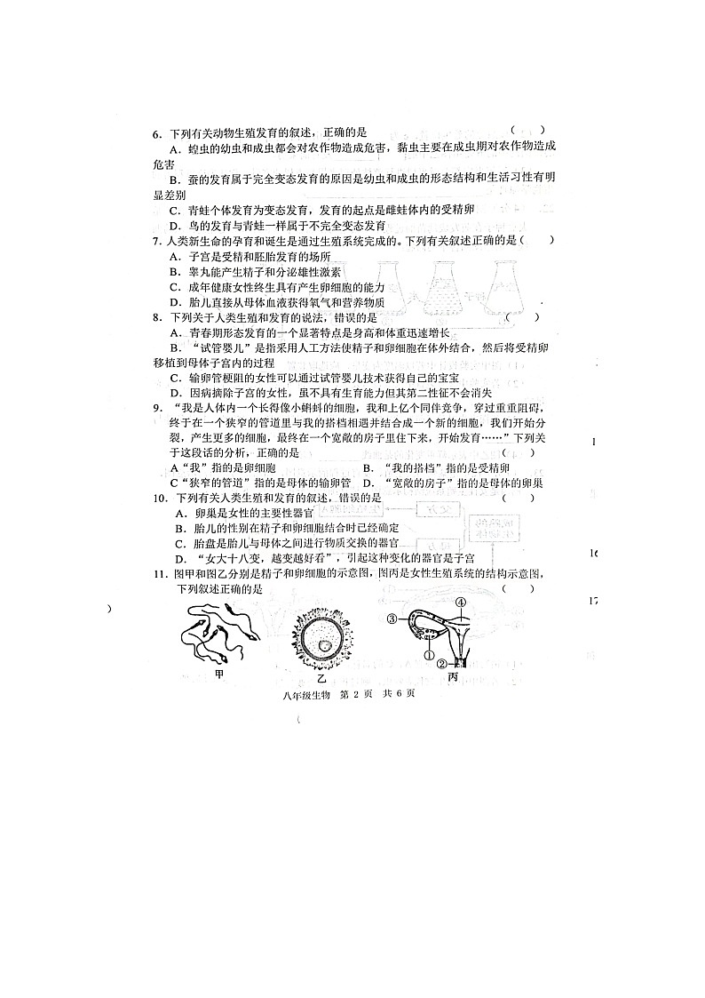 山东省菏泽市鲁西新区2023-2024学年八年级上学期12月月考生物试题02