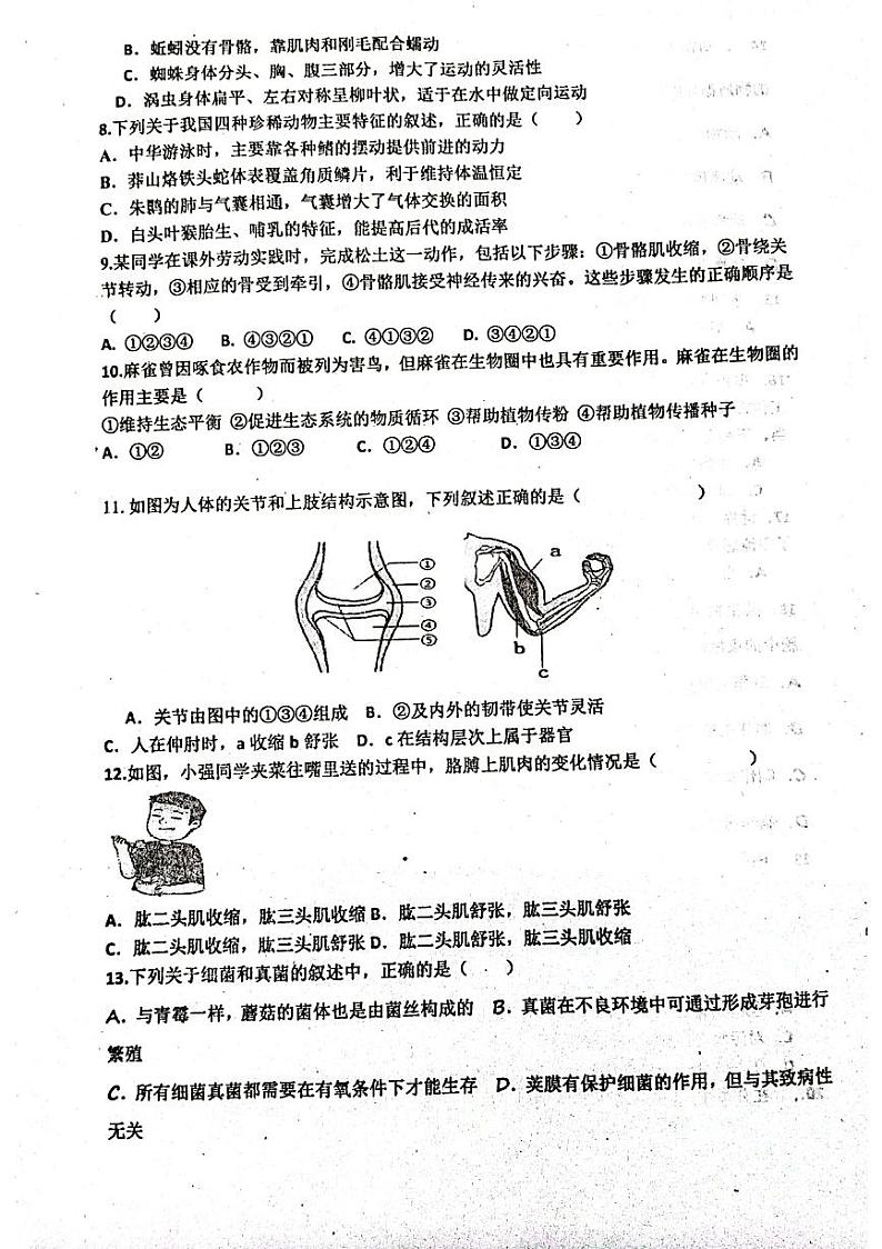 山东省聊城市阳谷县实验中学2023-2024学年八年级上学期12月月考生物试题02