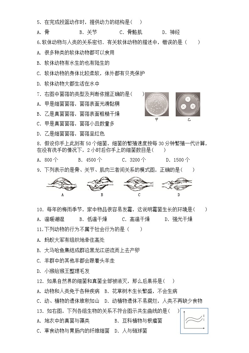 广东省东莞市黄江镇2023-2024学年八年级上学期生物期末模拟试题第3页