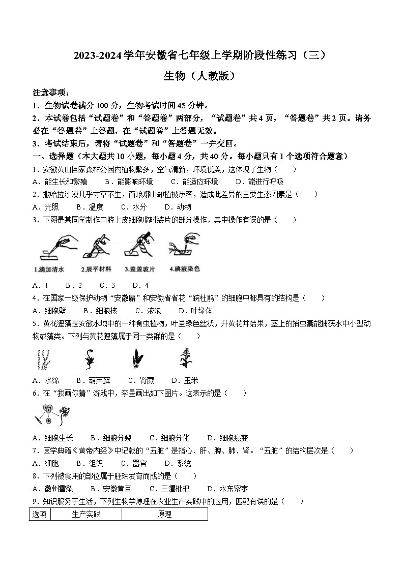 安徽省亳州市利辛县2023-2024学年七年级上学期12月月考生物试题第1页