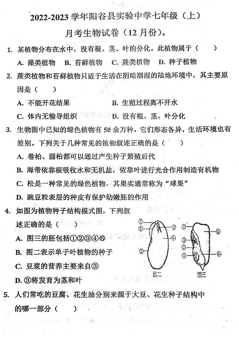 山东省聊城市阳谷县阳谷实验中学2023-2024学年七年级上学期12月月考生物试题第1页