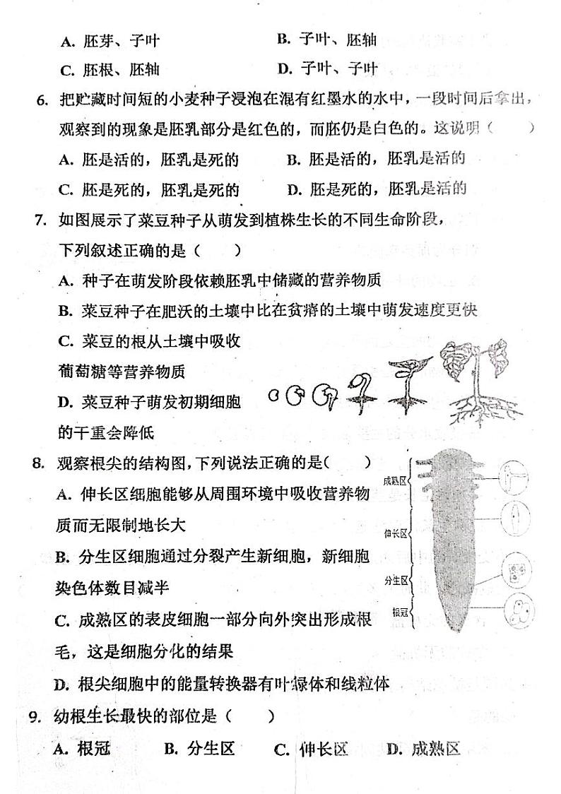 山东省聊城市阳谷县阳谷实验中学2023-2024学年七年级上学期12月月考生物试题第2页
