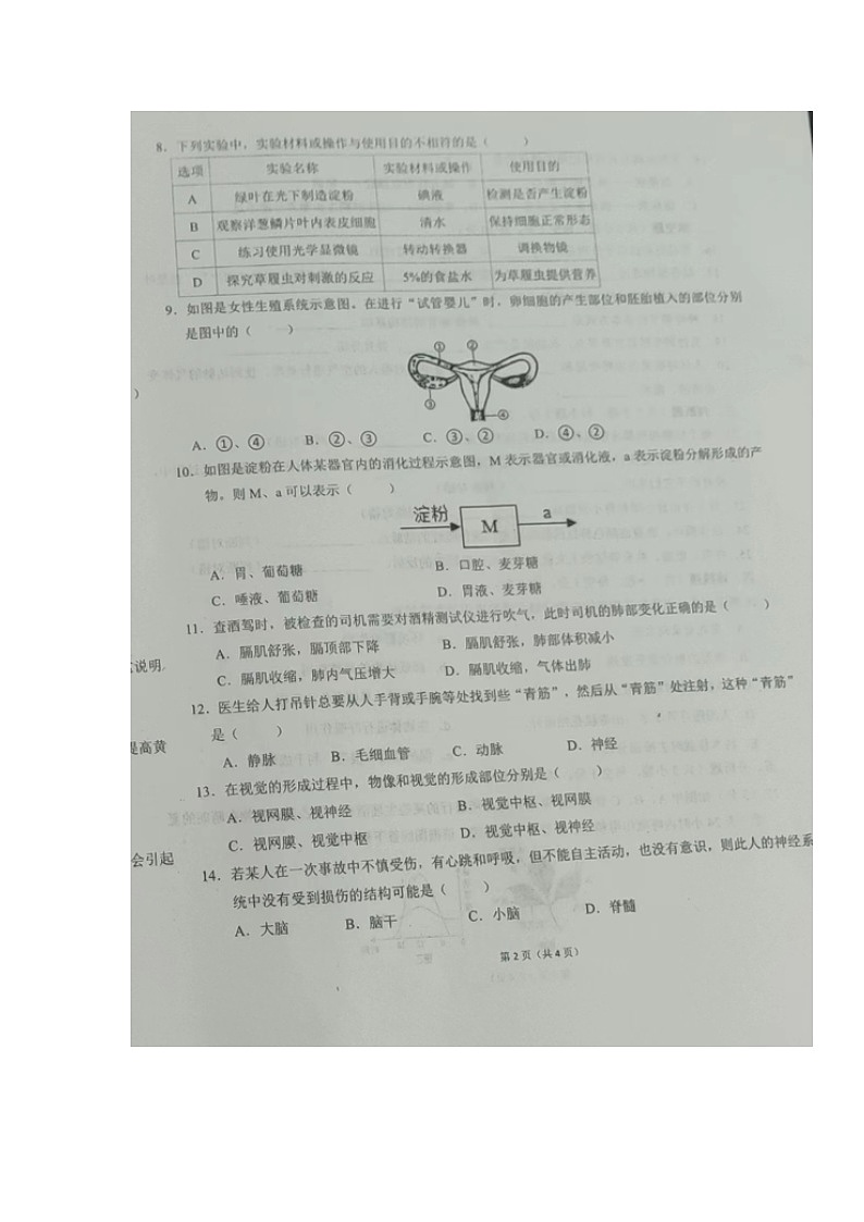 甘肃省天祝藏族自治县2023-2024学年九年级上学期期末考试生物试题02