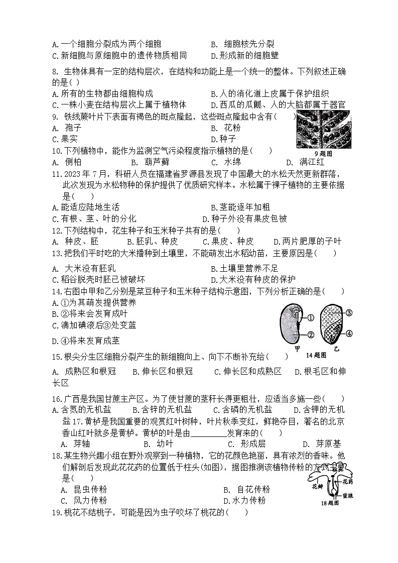 河北省石家庄市平山县2023-2024学年七年级上学期12月月考生物试题第2页